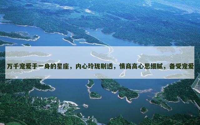 万千宠爱于一身的星座，内心玲珑剔透，情商高心思细腻，备受宠爱