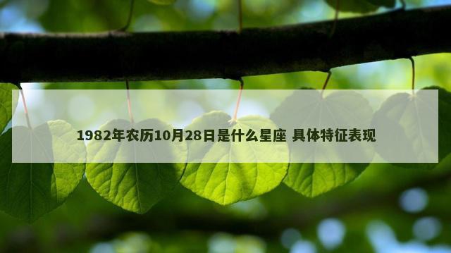 1982年农历10月28日是什么星座 具体特征表现