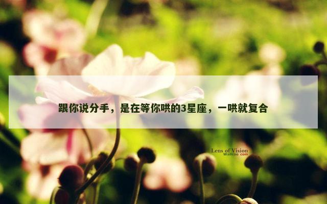 跟你说分手，是在等你哄的3星座，一哄就复合