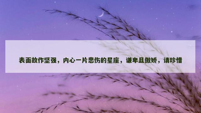 表面故作坚强，内心一片悲伤的星座，谦卑且傲娇，请珍惜