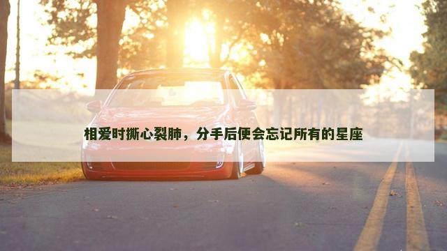相爱时撕心裂肺，分手后便会忘记所有的星座