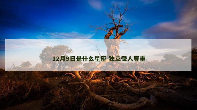 12月9日是什么星座 独立受人尊重