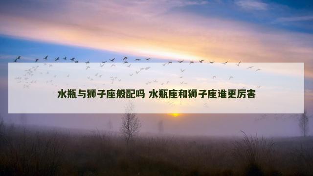 水瓶与狮子座般配吗 水瓶座和狮子座谁更厉害