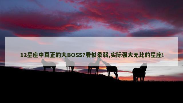 12星座中真正的大BOSS?看似柔弱,实际强大无比的星座!