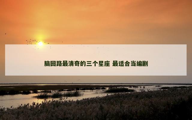 脑回路最清奇的三个星座 最适合当编剧