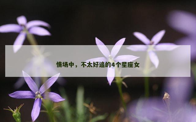 情场中，不太好追的4个星座女