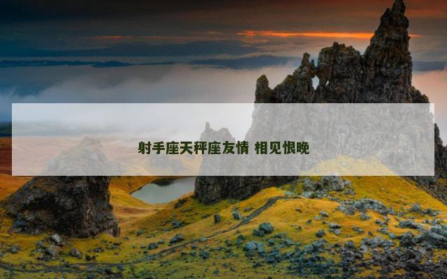 射手座天秤座友情 相见恨晚