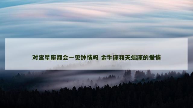 对宫星座都会一见钟情吗 金牛座和天蝎座的爱情