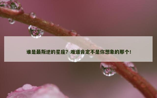 谁是最叛逆的星座？难道肯定不是你想象的那个！
