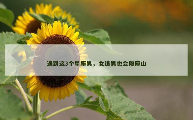 遇到这3个星座男，女追男也会隔座山