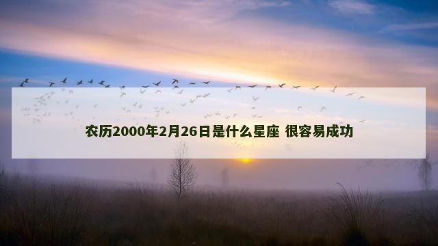 农历2000年2月26日是什么星座 很容易成功