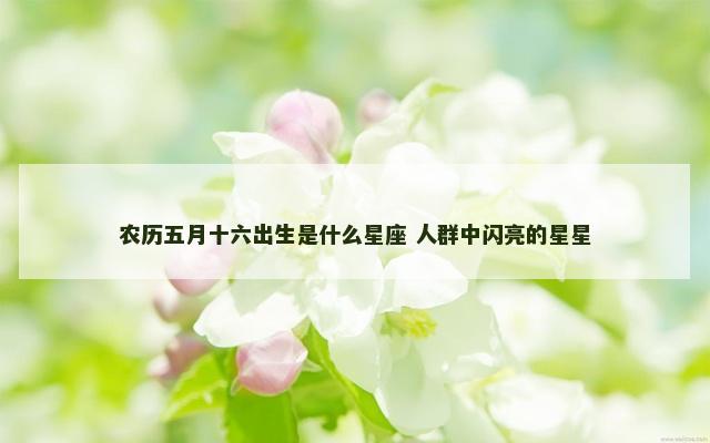 农历五月十六出生是什么星座 人群中闪亮的星星