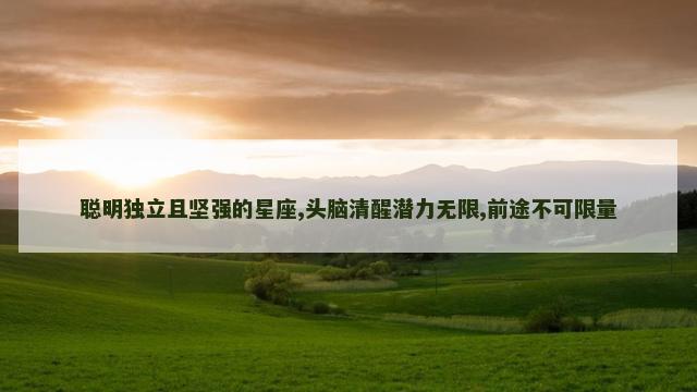 聪明独立且坚强的星座,头脑清醒潜力无限,前途不可限量