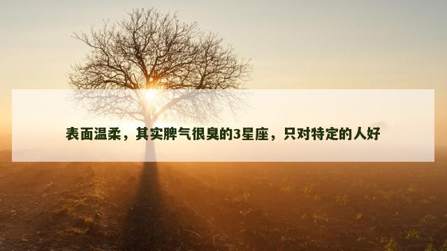 表面温柔，其实脾气很臭的3星座，只对特定的人好