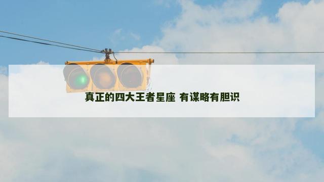 真正的四大王者星座 有谋略有胆识