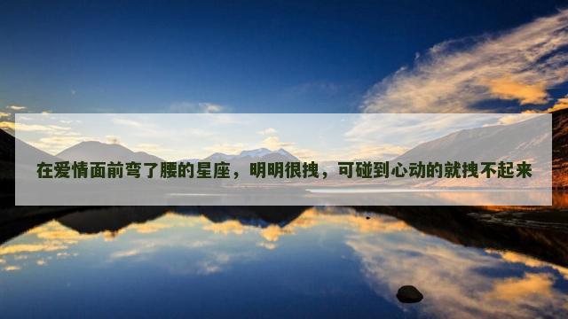 在爱情面前弯了腰的星座，明明很拽，可碰到心动的就拽不起来
