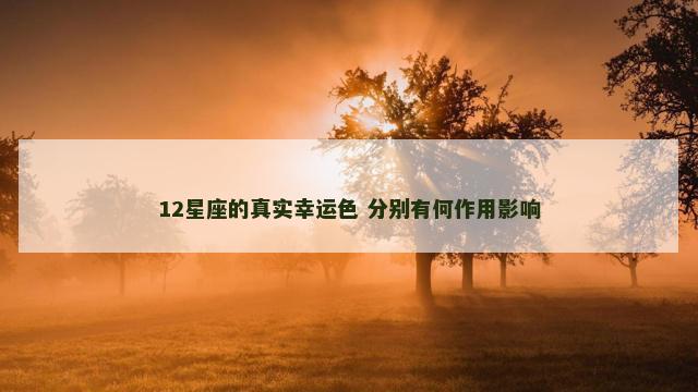 12星座的真实幸运色 分别有何作用影响