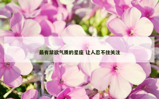 最有禁欲气质的星座 让人忍不住关注