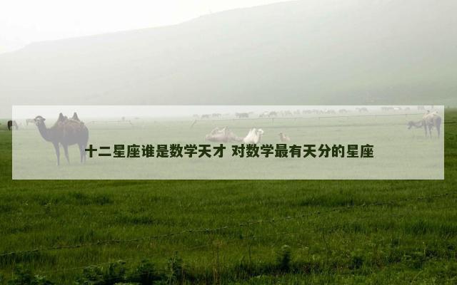 十二星座谁是数学天才 对数学最有天分的星座
