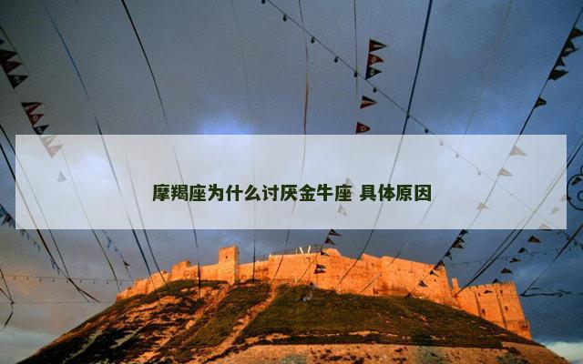 摩羯座为什么讨厌金牛座 具体原因