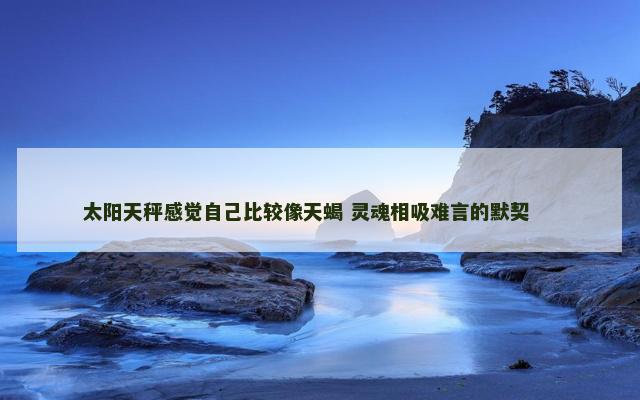太阳天秤感觉自己比较像天蝎 灵魂相吸难言的默契 　　