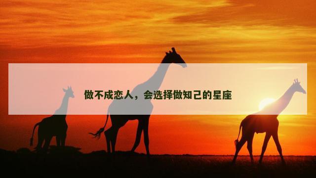 做不成恋人，会选择做知己的星座