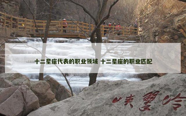 十二星座代表的职业领域 十二星座的职业匹配