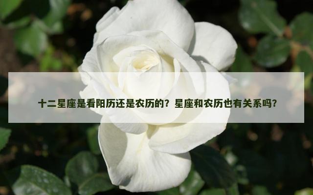 十二星座是看阳历还是农历的？星座和农历也有关系吗？