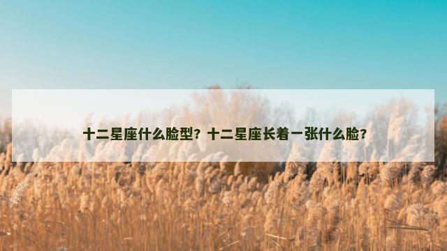十二星座什么脸型? 十二星座长着一张什么脸?
