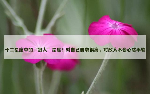 十二星座中的“狠人”星座！对自己要求很高，对敌人不会心慈手软