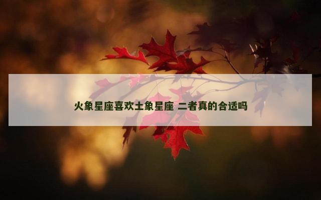 火象星座喜欢土象星座 二者真的合适吗