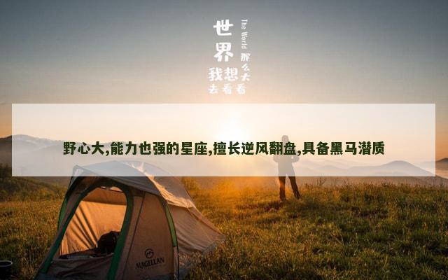 野心大,能力也强的星座,擅长逆风翻盘,具备黑马潜质