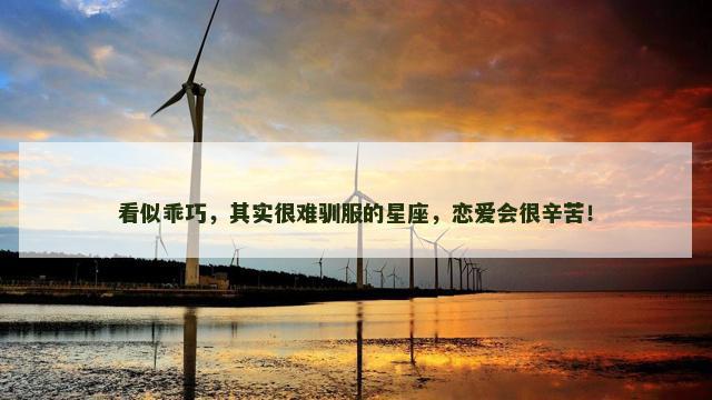 看似乖巧，其实很难驯服的星座，恋爱会很辛苦！