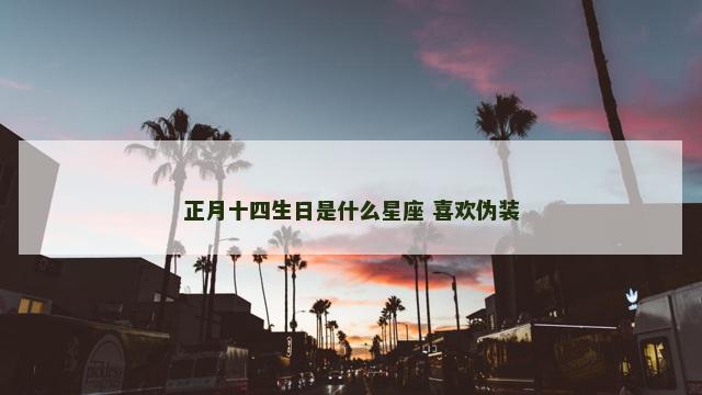 正月十四生日是什么星座 喜欢伪装