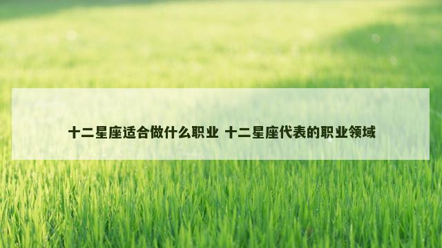 十二星座适合做什么职业 十二星座代表的职业领域