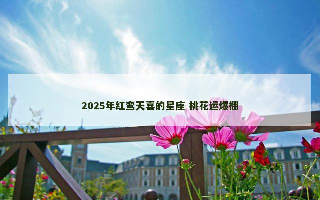 2025年红鸾天喜的星座 桃花运爆棚