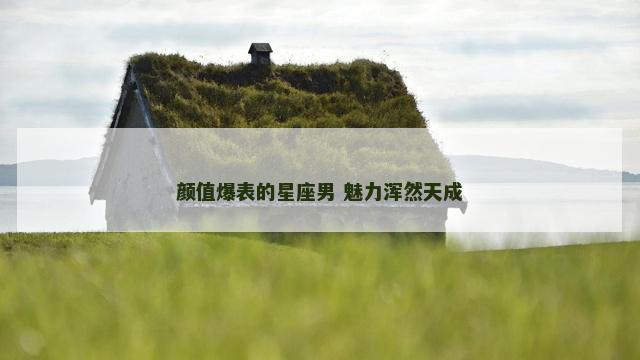 颜值爆表的星座男 魅力浑然天成