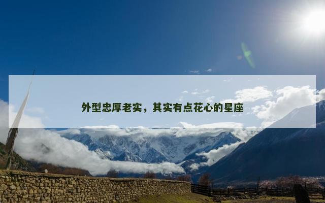外型忠厚老实，其实有点花心的星座