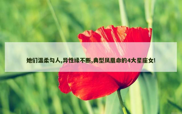 她们温柔勾人,异性缘不断,典型凤凰命的4大星座女!