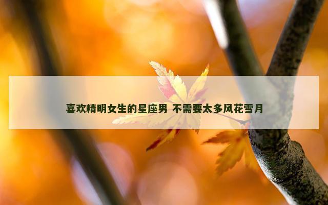 喜欢精明女生的星座男 不需要太多风花雪月