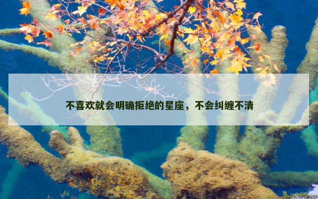 不喜欢就会明确拒绝的星座，不会纠缠不清