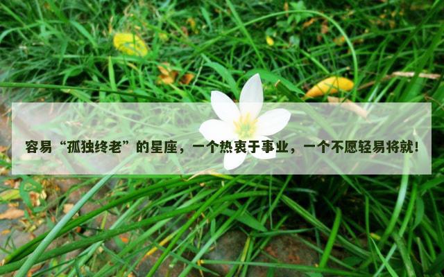 容易“孤独终老”的星座，一个热衷于事业，一个不愿轻易将就！