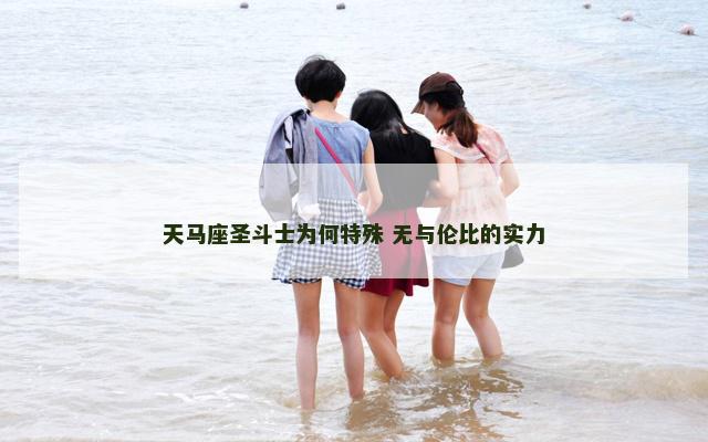 天马座圣斗士为何特殊 无与伦比的实力