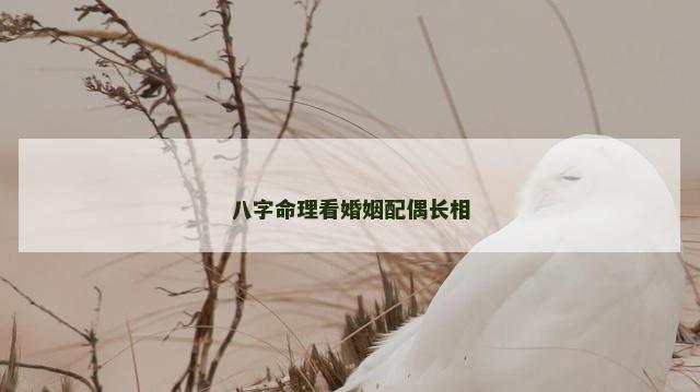 八字命理看婚姻配偶长相