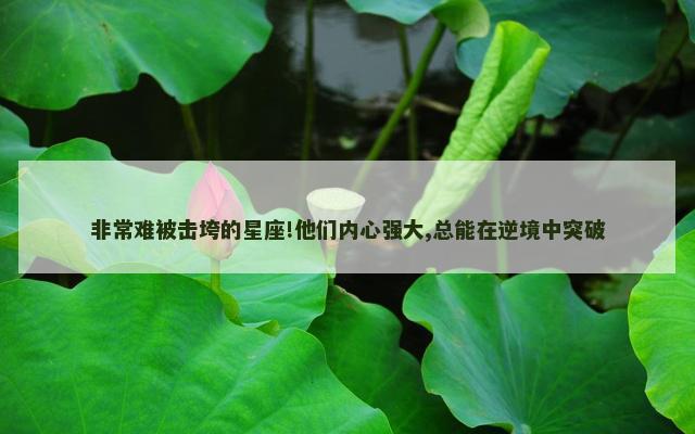 非常难被击垮的星座!他们内心强大,总能在逆境中突破