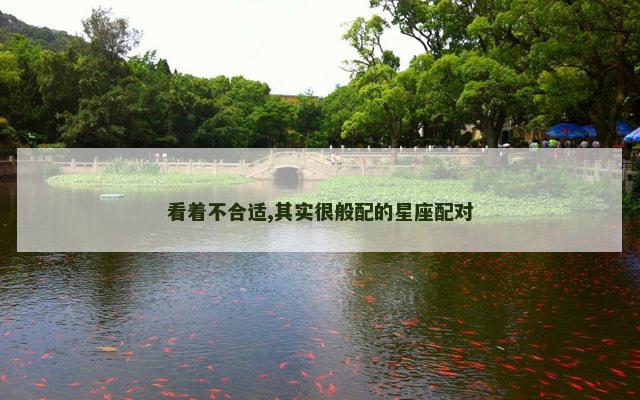 看着不合适,其实很般配的星座配对
