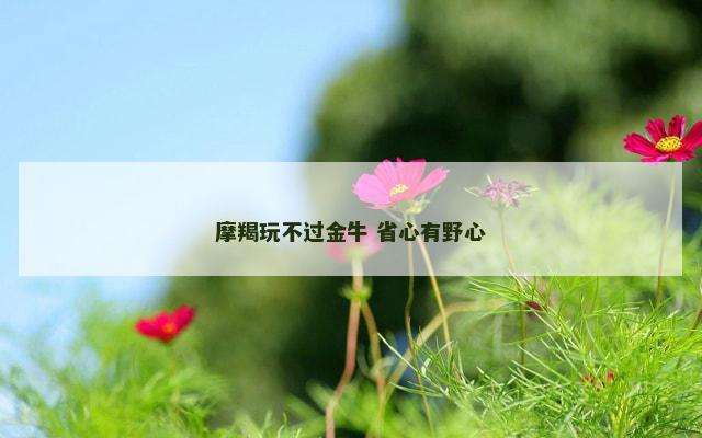 摩羯玩不过金牛 省心有野心