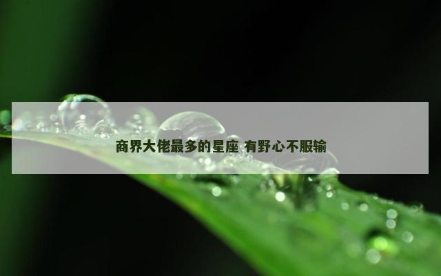 商界大佬最多的星座 有野心不服输