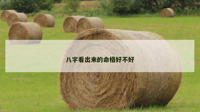 八字看出来的命格好不好