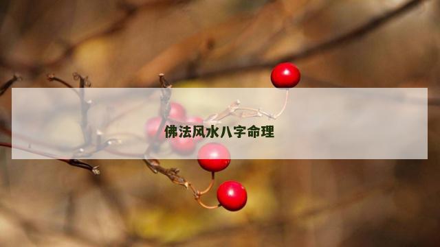佛法风水八字命理